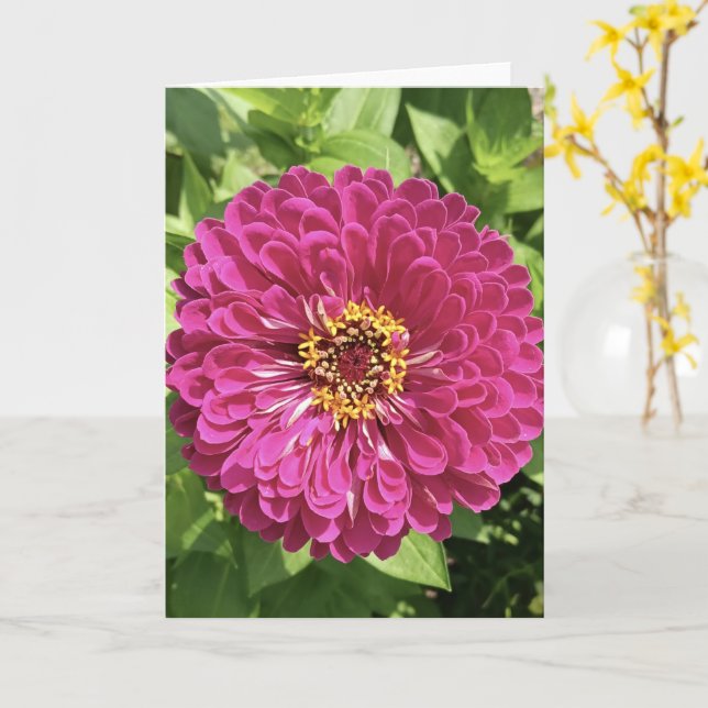 Tarjeta Foto de flor de zinia vívida (flor amarilla)