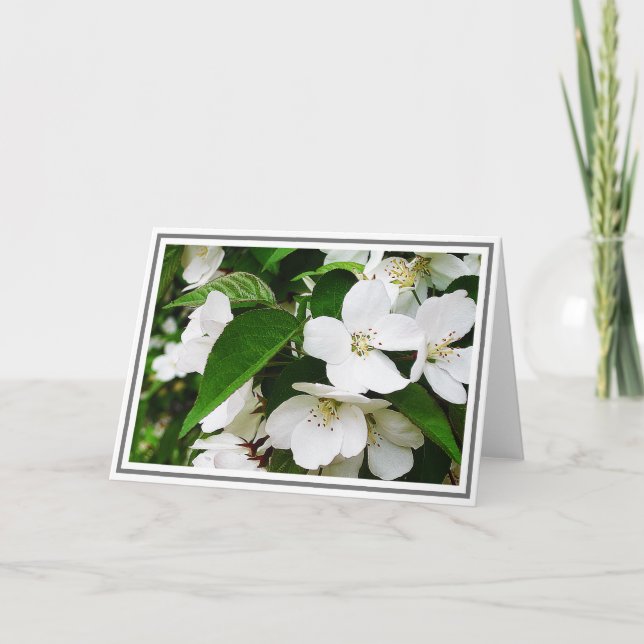 Tarjeta Foto de flores de cerezo blanco con follaje verde (Anverso)