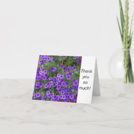 Tarjeta Foto de flores púrpura de Flox en un Gracias