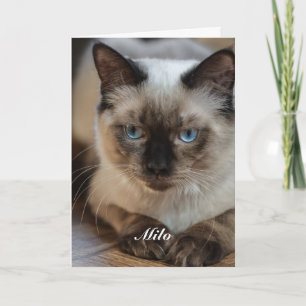 Tarjeta Foto de gato Ragdoll personalizada con nombre