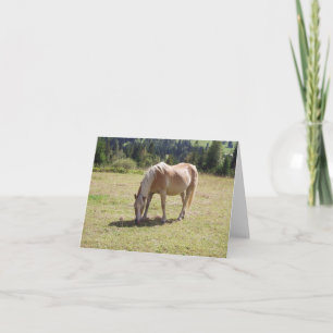 Tarjeta Foto de Haflinger Palomino Pony en Pastel de Veran
