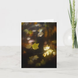 Tarjeta Foto de hojas de luz de otoño suave