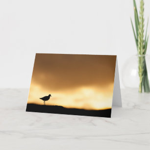 Tarjeta Foto de la naturaleza de Bird Sunset