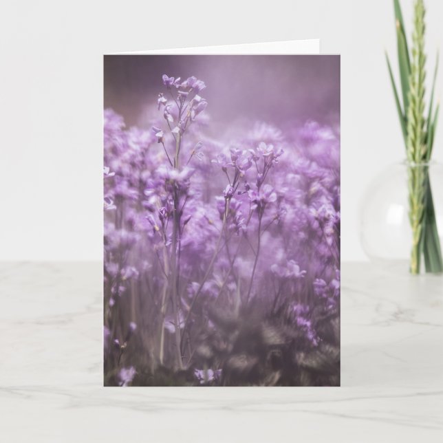 Tarjeta Foto de la naturaleza de la flor cubana (Anverso)