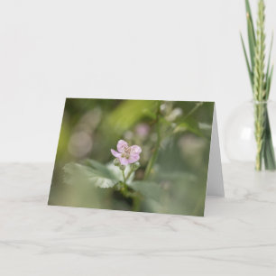 Tarjeta Foto de la naturaleza de la flor de cerezo de bram