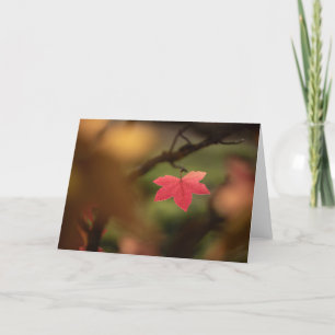 Tarjeta Foto de la naturaleza de la hoja de otoño roja