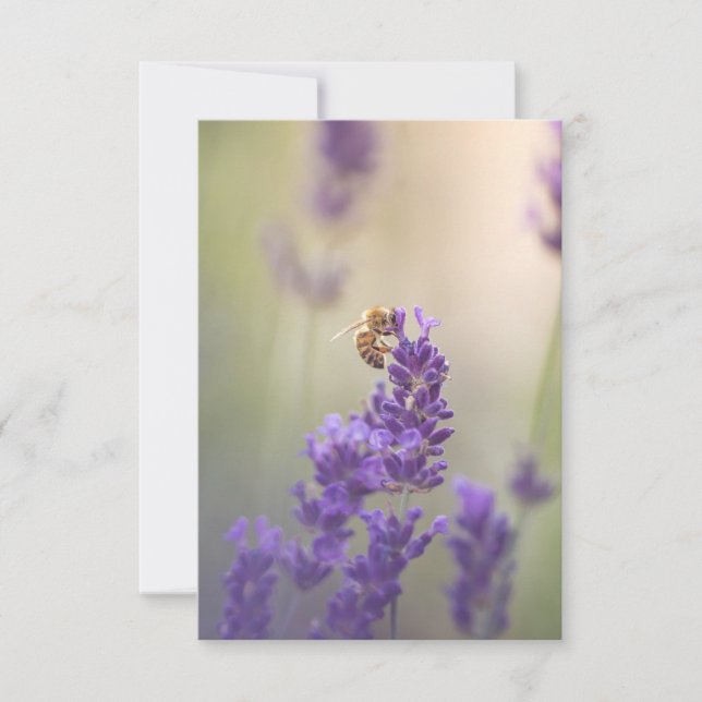 Tarjeta Foto de la naturaleza de las abejas de flores de l (Anverso)