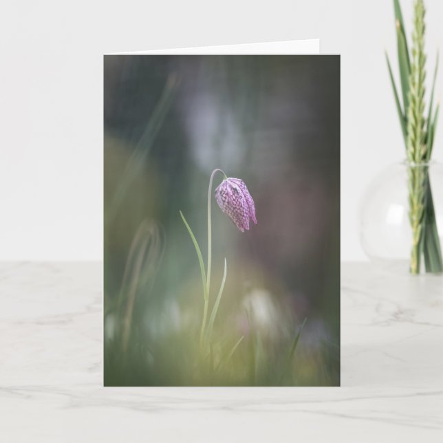 Tarjeta Foto de la naturaleza de las flores de ajedrez (Anverso)