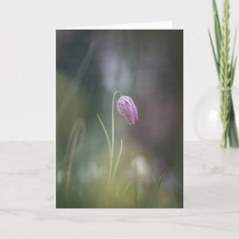 Tarjeta Foto de la naturaleza de las flores de ajedrez