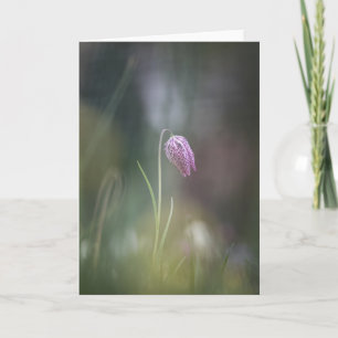 Tarjeta Foto de la naturaleza de las flores de ajedrez