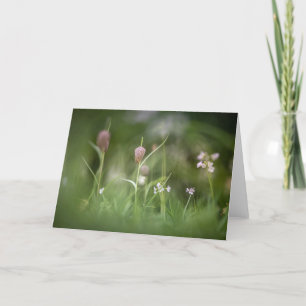 Tarjeta Foto de la naturaleza de las flores de ajedrez
