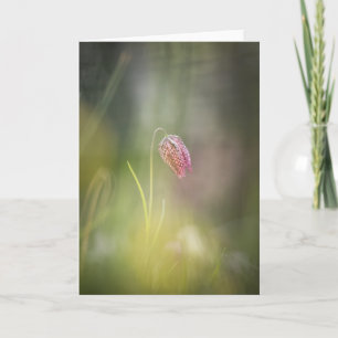 Tarjeta Foto de la naturaleza de las flores de ajedrez