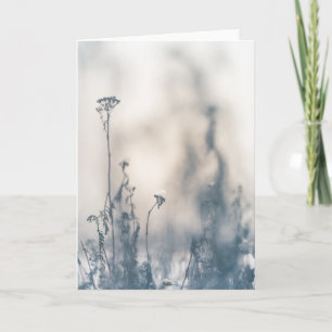 Tarjeta Foto de la naturaleza de las plantas de invierno