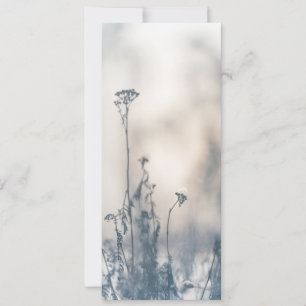 Tarjeta Foto de la naturaleza de las plantas de invierno