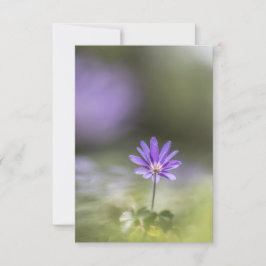 Tarjeta Foto de la Naturaleza de los Aceitunas Griegos