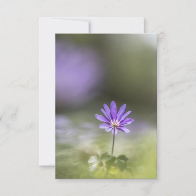 Tarjeta Foto de la Naturaleza de los Aceitunas Griegos (Anverso)