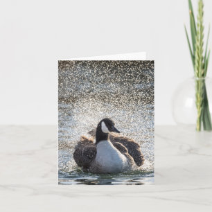 Tarjeta Foto de la naturaleza de los gansos de baño