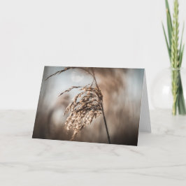 Tarjeta Foto de la naturaleza de Reed