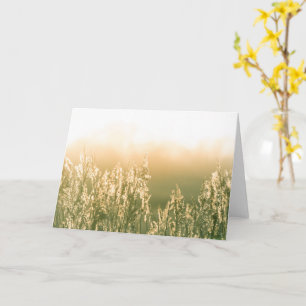 Tarjeta Foto de la naturaleza de Reed Sunset