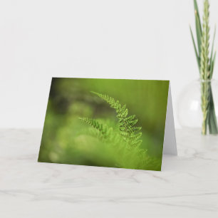 Tarjeta Foto de la naturaleza del fermento floral verde