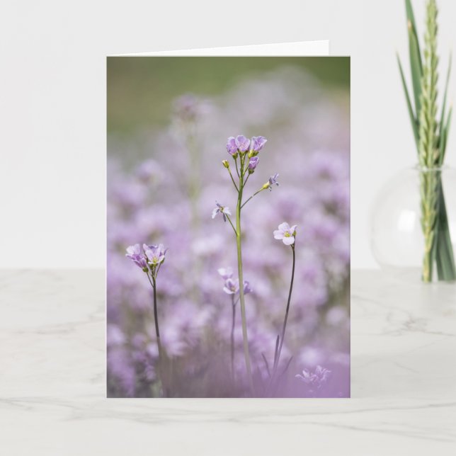 Tarjeta Foto de la naturaleza del Smock de Lady (Anverso)