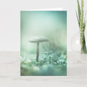 Tarjeta Foto de la naturaleza encantada del hongo
