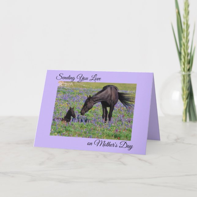 Tarjeta Foto de la pastura del Día de la Madre Mare & Foal (Anverso)