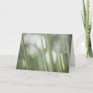 Tarjeta Foto de la vegetación de la planta verde