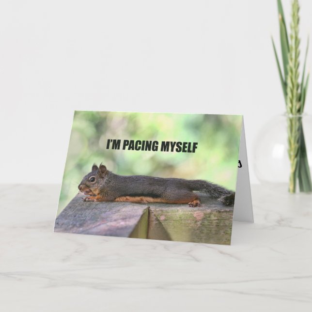 Tarjeta Foto de Lazy Squirrel (Anverso)