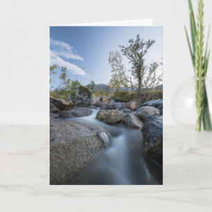 Tarjeta Foto de Little Stream Nature