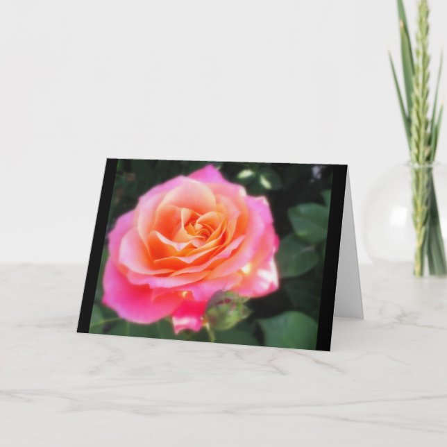 Tarjeta Foto de macro Rosa rosa y Naranja bonito (Anverso)