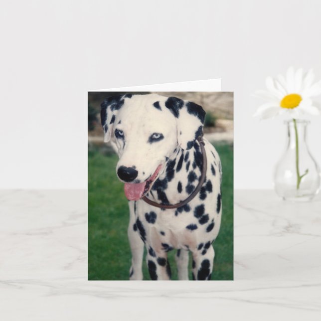 Tarjeta Foto de mi Mascota amigo Personalizado (Planta pequeña)