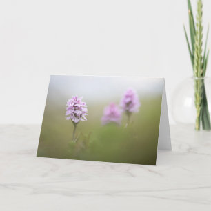 Tarjeta Foto de naturaleza de orquídeas silvestres