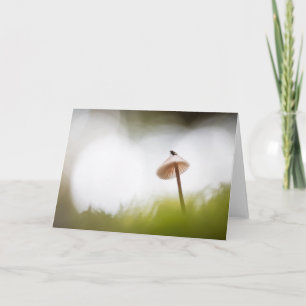 Tarjeta Foto de naturaleza de una seta diminuta