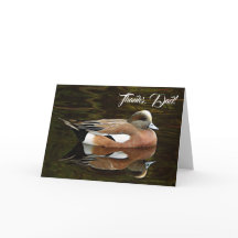 Foto de naturaleza del silbón americano para el Dí