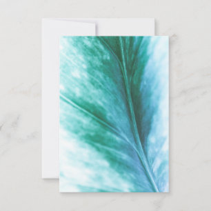 Tarjeta Foto de naturaleza floral de hoja turquesa verde