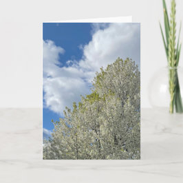 Tarjeta Foto de Nube Cielo Azul Árbol Blanco