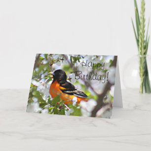 Tarjeta Foto de Oriole