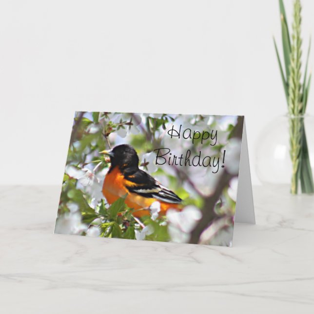 Tarjeta Foto de Oriole (Anverso)