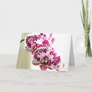 Tarjeta Foto de orquídea morada variada pensando en ti