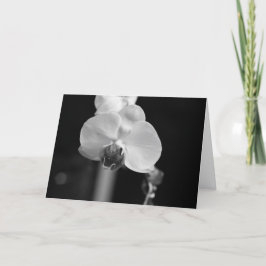 Tarjeta Foto de Orquídea Negra y Blanca "Feliz cumpleaños"