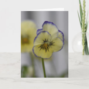 Tarjeta Foto de pensamiento amarillo y violeta - Cottageco