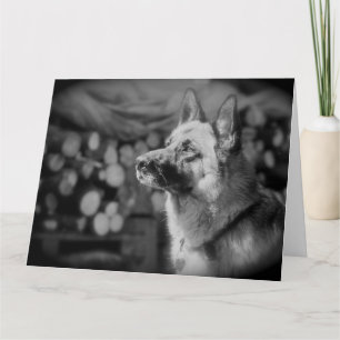 Tarjeta Foto de perro alsaciano blanco y negro
