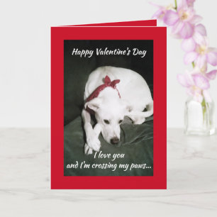 Tarjeta Foto de perro blanco lindo Día de San Valentín div