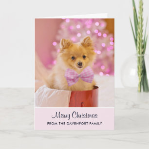 Tarjeta Foto de perro de Navidad lindo con lazo rosa y árb