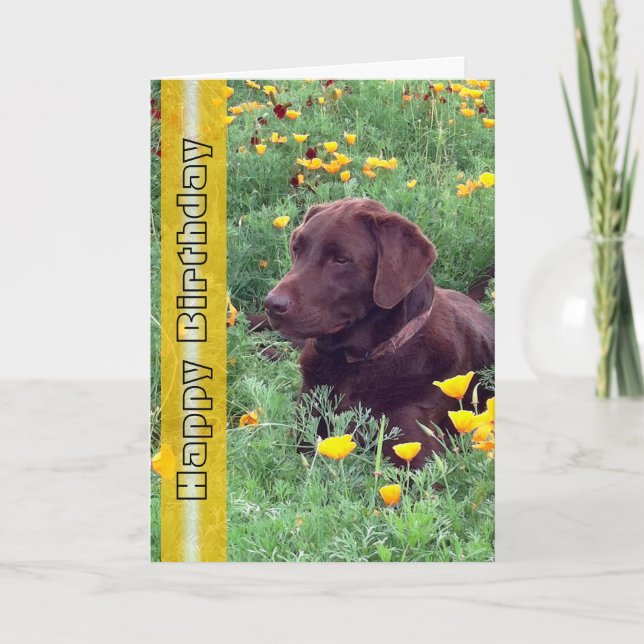 Tarjeta Foto de perro labrador retriever guapo de cumpleañ (Anverso)
