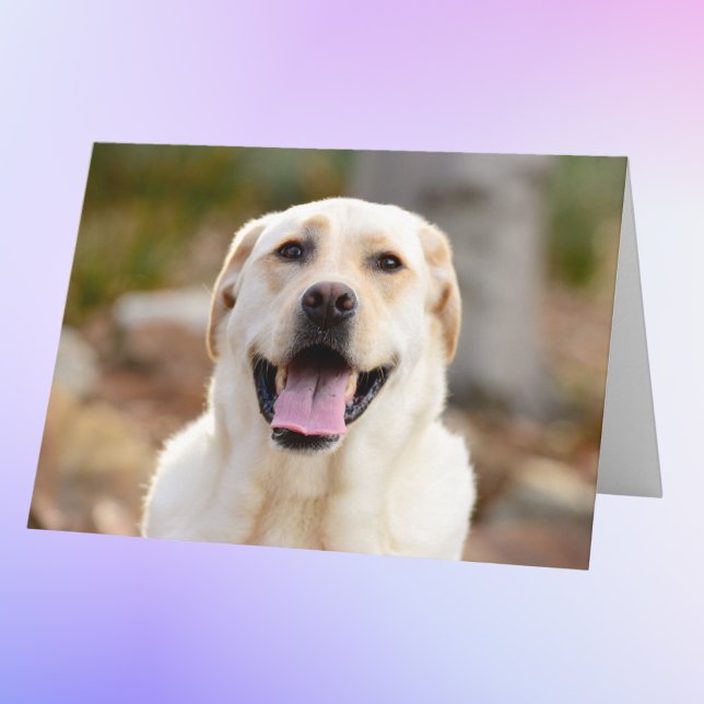 Tarjeta Foto de perro personalizada (Subido por el creador)
