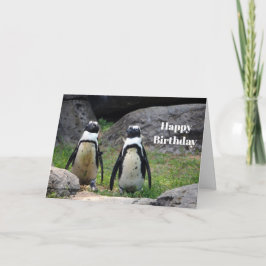 Tarjeta Foto de Pingüino de Vida Silvestre Cumpleaños