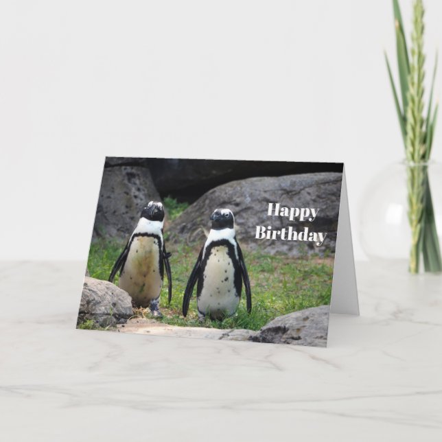 Tarjeta Foto de Pingüino de Vida Silvestre Cumpleaños (Anverso)