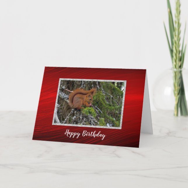 Tarjeta Foto De Pino De La Ardilla Roja Cute Cumpleaños (Anverso)